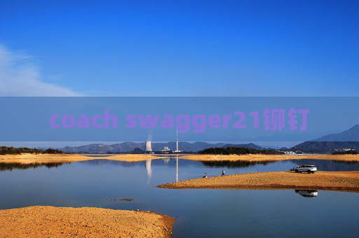 coach swagger21铆钉